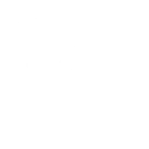 IconQuality