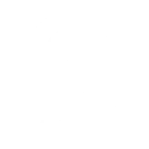 IconSkilled